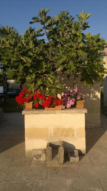 Готель Masseria Grande Торре-дель-Орсо Екстер'єр фото